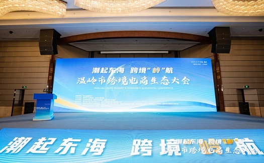 中非經(jīng)貿(mào)港攜“云上臺州”參加溫嶺市跨境電商生態(tài)大會