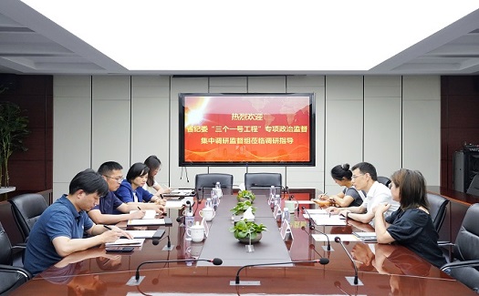省紀(jì)委“三個一號工程”專項政治監(jiān)督集中調(diào)研監(jiān)督組來我司調(diào)研