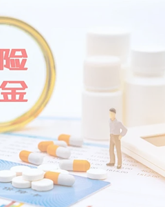 Six insurances and<br>two funds