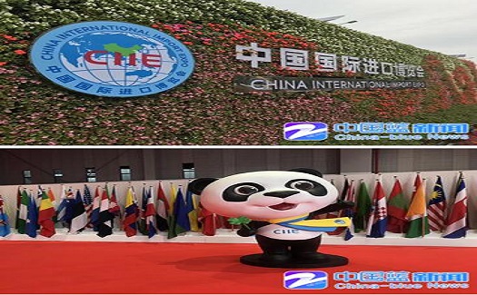 進(jìn)博會開幕首日 中非經(jīng)貿(mào)港有備而來“買買買”