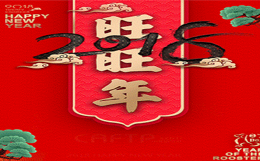 中非經(jīng)貿(mào)港新春晚會(huì)十八般武藝齊上陣，精彩紛呈，為大家拜年啦！